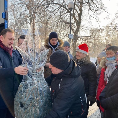 Choinka dla każdego